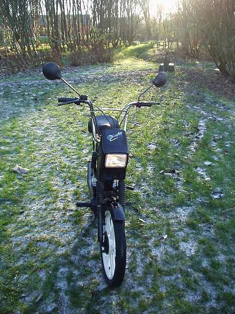 Tomos Quadro - Forenden af min tomos billede 4