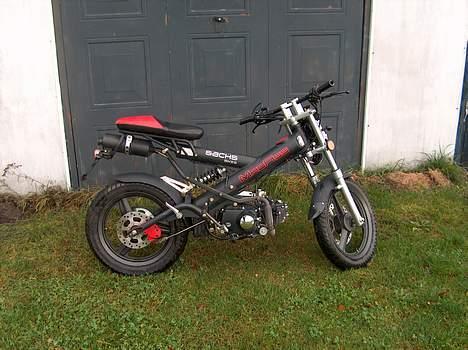 Sachs Madass billede 2