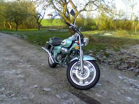 Jincheng Knight (SOLGT) - Den skinner ligefrem! :P billede 2