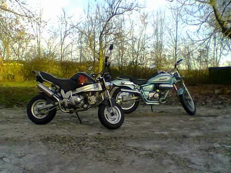 Jincheng Knight (SOLGT) - Knight´en og PBR´en billede 3