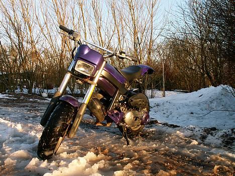 Suzuki Street magic (*GONE*) - Haha Min skat. hun er sgu da smuk! billede 1