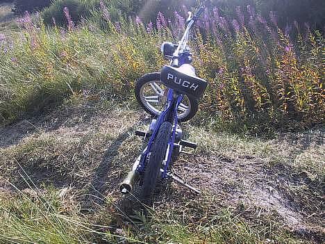 Puch Maxi K (SOLGT) billede 4