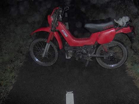 Yamaha sting billede 4