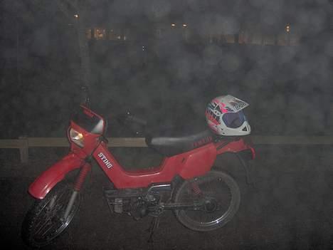 Yamaha sting billede 5