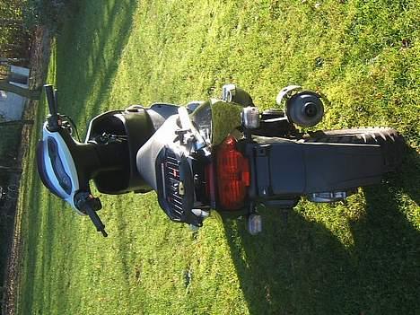 PGO Dr. Big (SOLGT)  billede 5