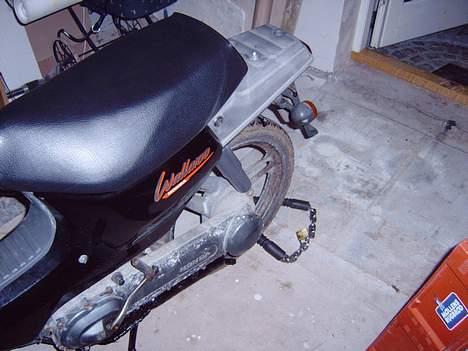 Honda Wallaro billede 3