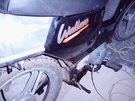 Honda Wallaro billede 8