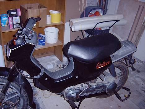 Honda Wallaro billede 13