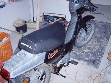 Honda Wallaro billede 15