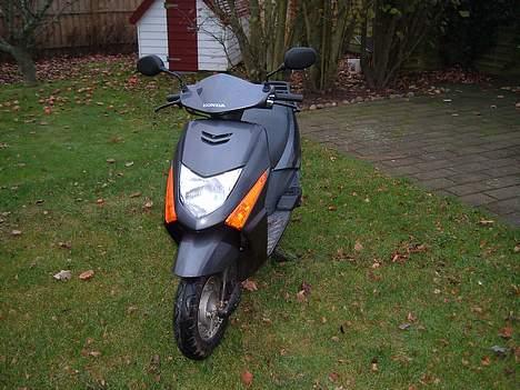 Honda LeaD ((Far's)) billede 1