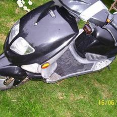 PGO DR. BIG        (SOLGT)