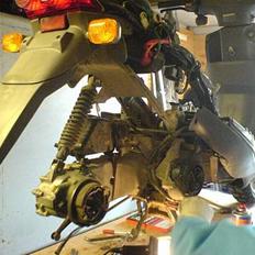 PGO Dr. BIg (PROJEKT)