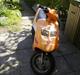 Kreidler Easy Rider``Byttet``