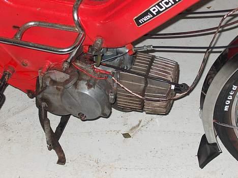 Puch Maxi p bytte med pocket billede 7