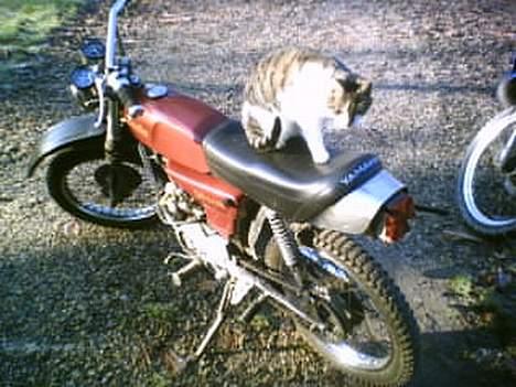 Yamaha 4G DX "Tilsalg" billede 6