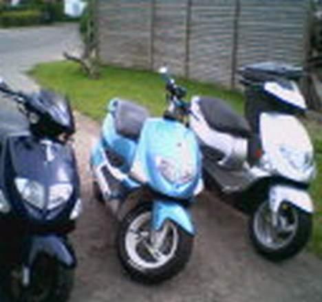 PGO Dr.big billede 19