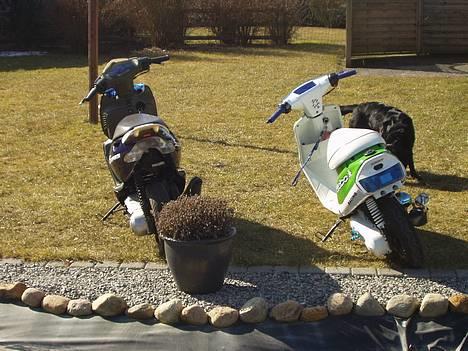 Aprilia Sonic (byttet) billede 14