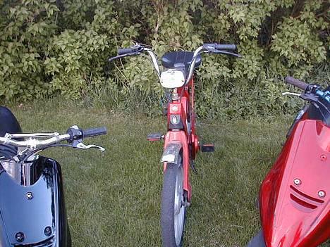 Vespa Ciao  / Solgt ! billede 1