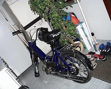 Puch maxi K - der er hun jo billede 1