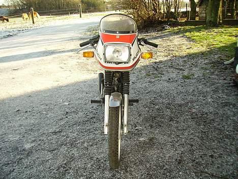 Puch cobra billede 2