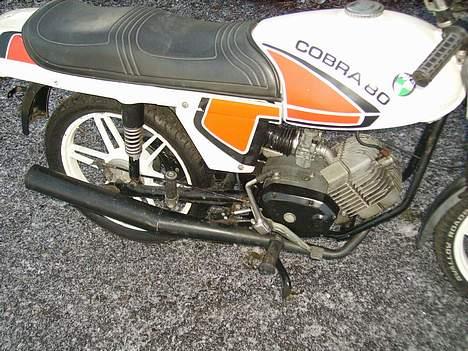 Puch cobra billede 7