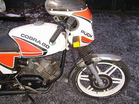 Puch cobra billede 8