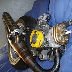 Piaggio nrg lc dd (SOLGT)