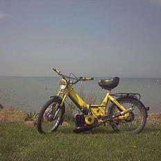 Puch maxi