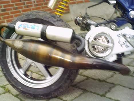 Suzuki Street magic (SOLGT) billede 3