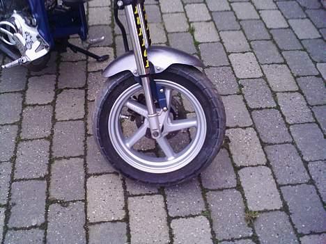 Suzuki Street magic (SOLGT) billede 4