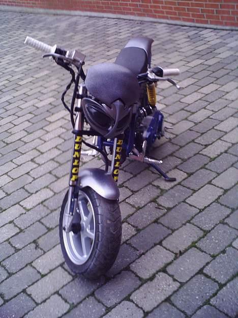 Suzuki Street magic (SOLGT) billede 5