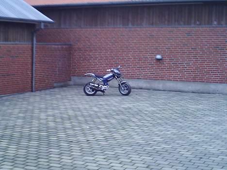 Suzuki Street magic (SOLGT) billede 10