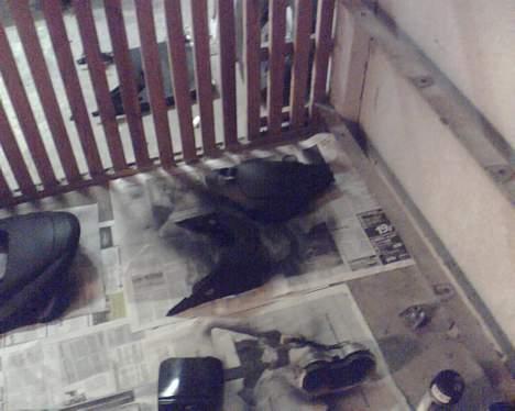 PGO Hot 50 -  billede 18