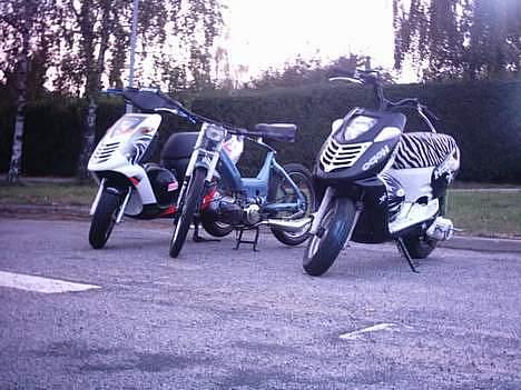 Puch maxi K TIL SALG - min puch,,.... mads hvide sonic... og holm´s gammel sonic... vi vil have den tilbage isted for den gammel BWS:P billede 8