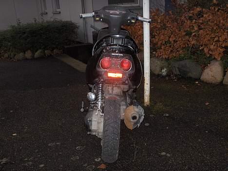 Honda Sfx (solgt) billede 4