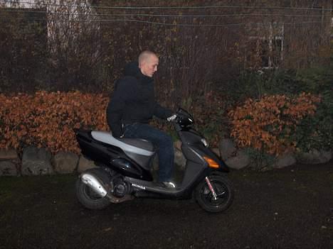 Honda Sfx (solgt) billede 5