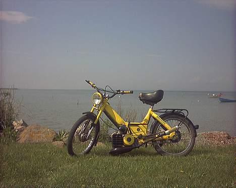 Puch maxi billede 1