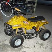 MiniBike atv