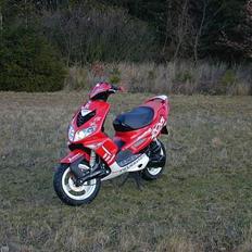 Peugeot Speedfight 206 TIL SALG