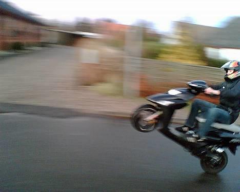 Honda SFX ***Solgt*** billede 7