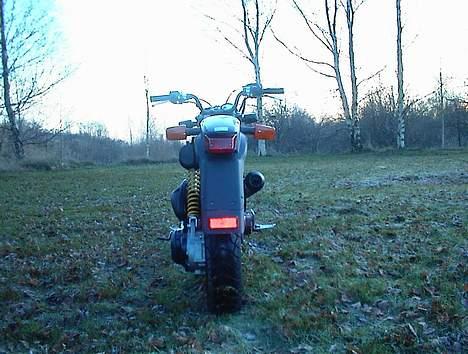 Suzuki Street Magic " SOLGT " billede 4