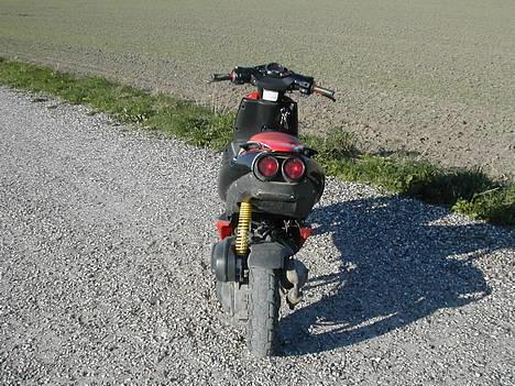 Aprilia >\/ ! ¤ Ditech ¤ ! \/< billede 2