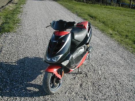 Aprilia >\/ ! ¤ Ditech ¤ ! \/< billede 5