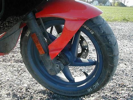 Aprilia >\/ ! ¤ Ditech ¤ ! \/< billede 6