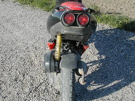 Aprilia >\/ ! ¤ Ditech ¤ ! \/< billede 9