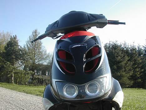 Aprilia >\/ ! ¤ Ditech ¤ ! \/< billede 13