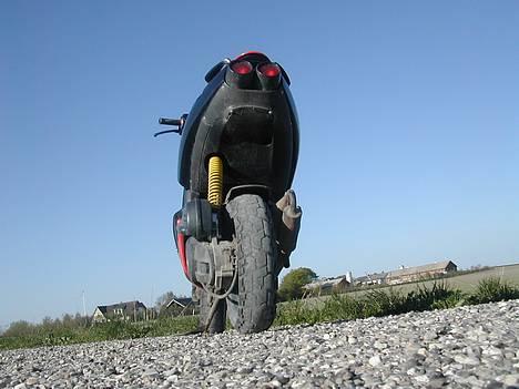 Aprilia >\/ ! ¤ Ditech ¤ ! \/< billede 15