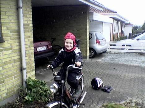 Puch Maxi k (Stjålet) billede 9