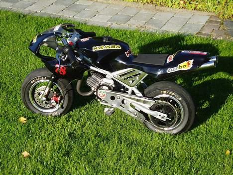 MiniBike Wild ONE! billede 1
