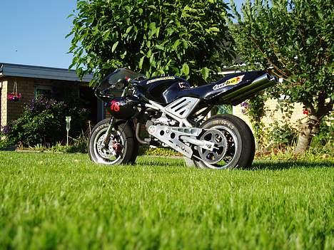 MiniBike Wild ONE! billede 3